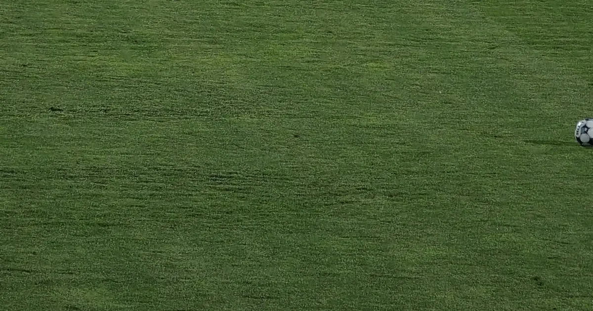 Footballs scattered across a training pitch